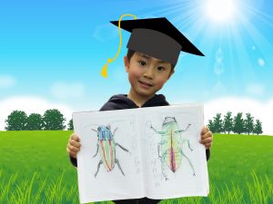 右脳教育/幼児教室/幼児教育/HEGL/へーグル/全脳教育/昆虫博士/豊富な知識/感性/イメージ力/集中力//瞬間記憶/大量記憶/ひらめき/