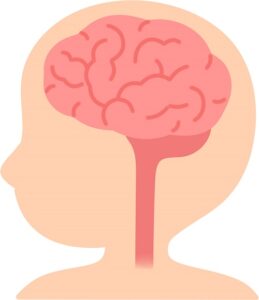 幼児の脳は、大人と完全に別次元で成長する驚異の事実