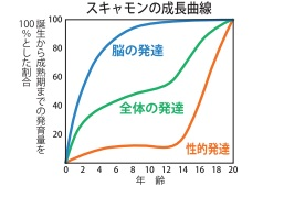 スキャモンの成長曲線