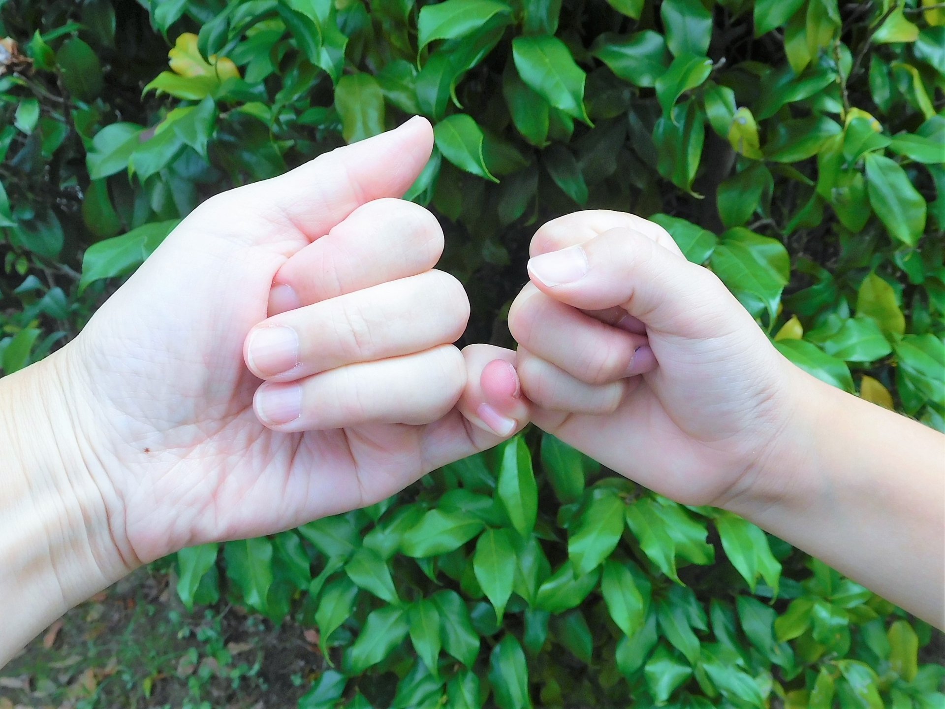 子どもが「嘘」をついたら