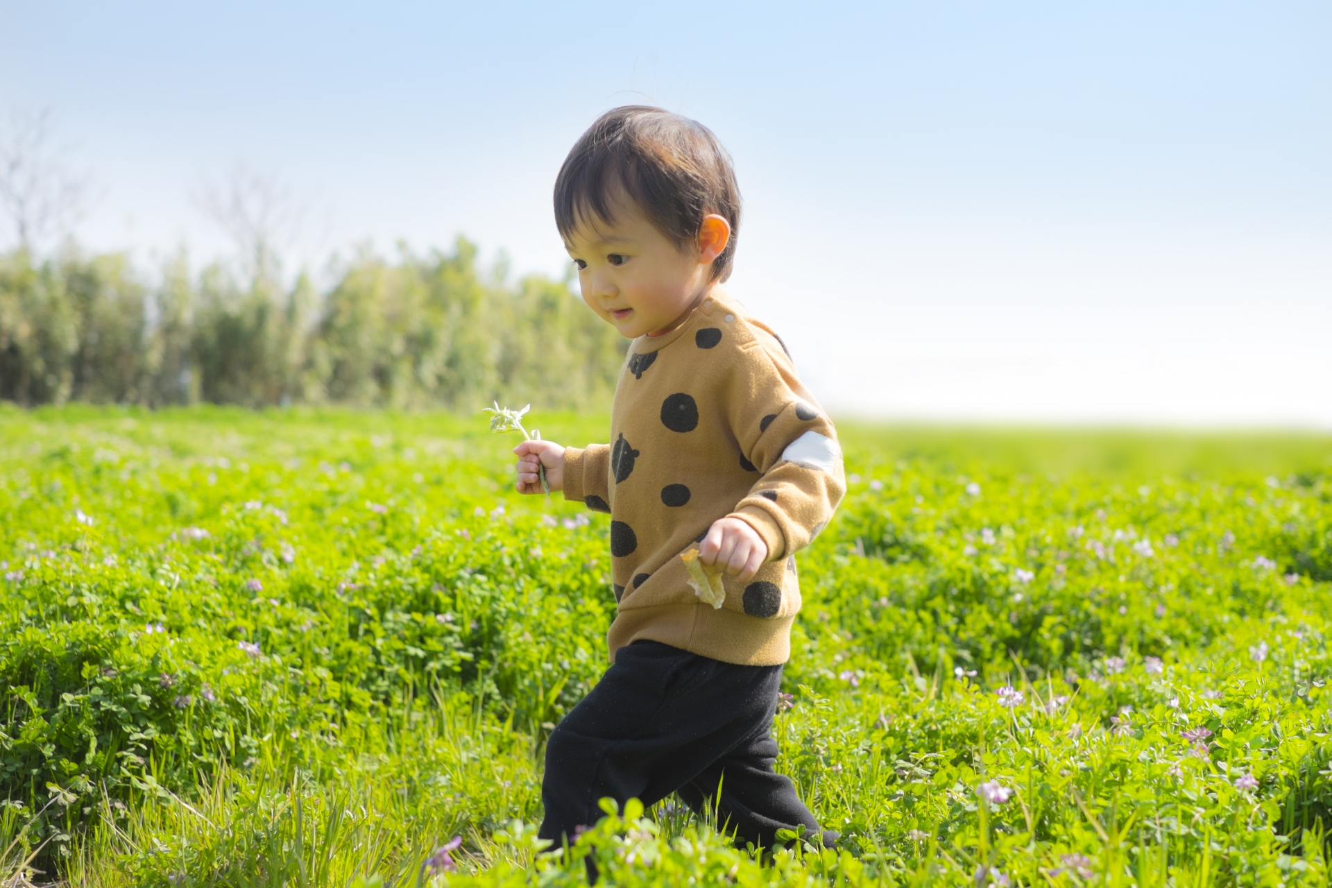 2歳になったら何ができる